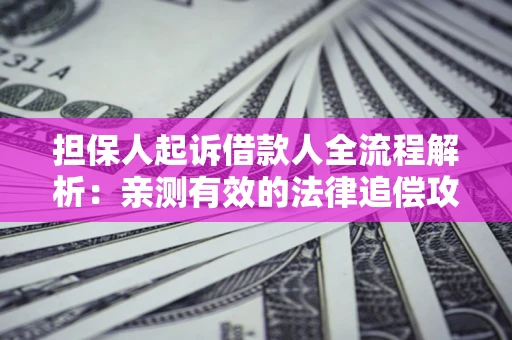 济南担保人起诉借款人全流程解析：亲测有效的法律追偿攻略
