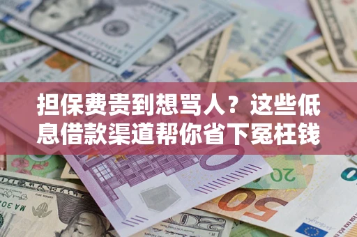济南担保费贵到想骂人？这些低息借款渠道帮你省下冤枉钱