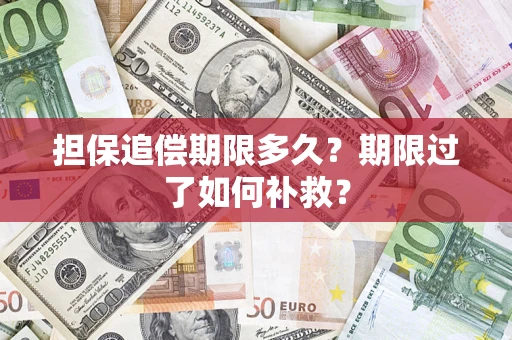 济南担保追偿期限多久？期限过了如何补救？